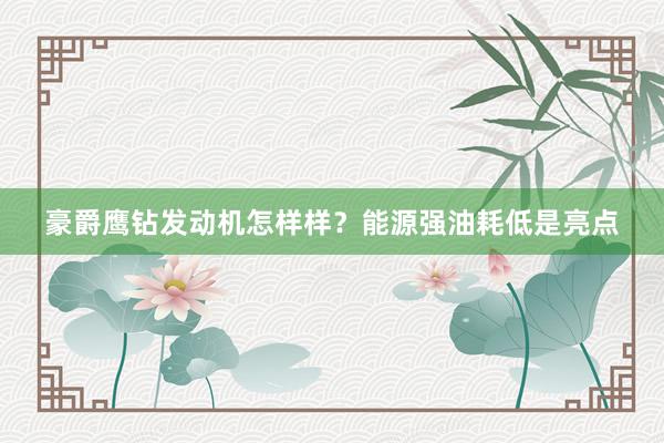 豪爵鹰钻发动机怎样样？能源强油耗低是亮点